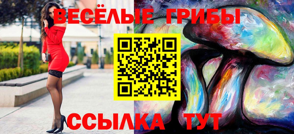 Саранск  Галлюциногенные грибы мицелий  Вход с VPN  что такое наркотик  Псилоцибиновые грибы мицелий 