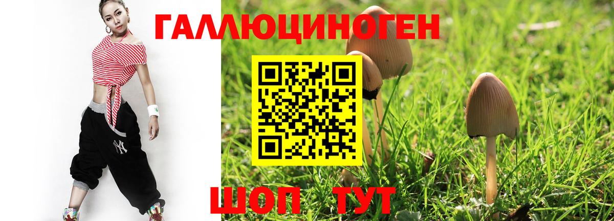 Псилоцибиновые грибы Magic Shrooms Саранск